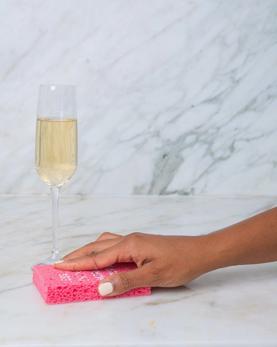 Biodegradable Pop-Up Sponge - Winederful