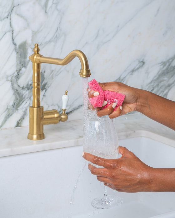 Biodegradable Pop-Up Sponge - Winederful