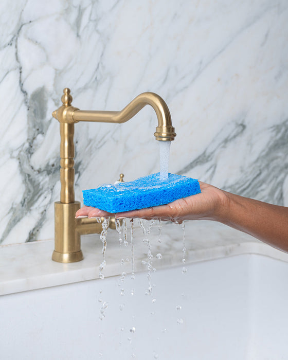 Biodegradable Pop-Up Sponge - Purple/Blue