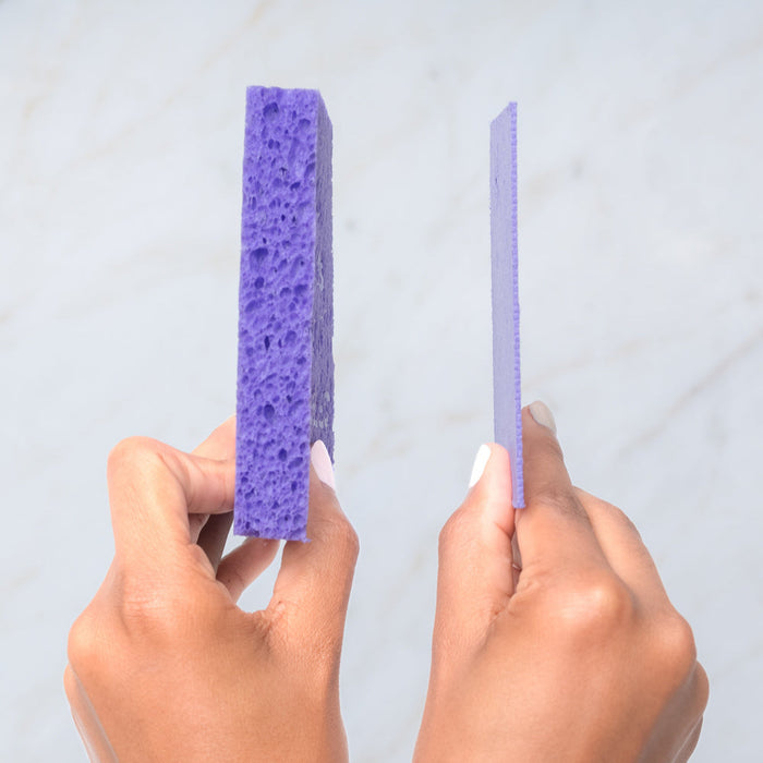 Biodegradable Pop-Up Sponge - Purple/Blue