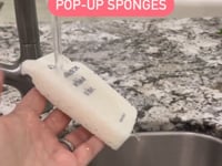 Biodegradable Pop-Up Sponge - Cabernet
